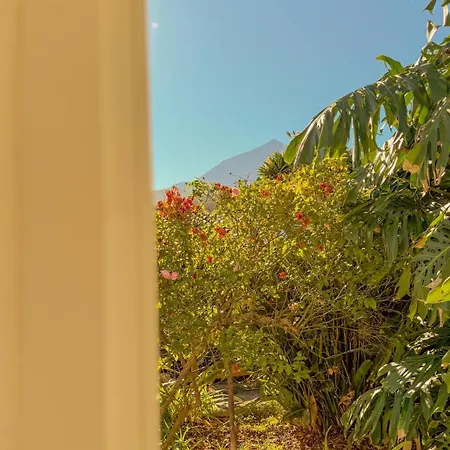 بيت للعطل La Paredita Casa Acentejo