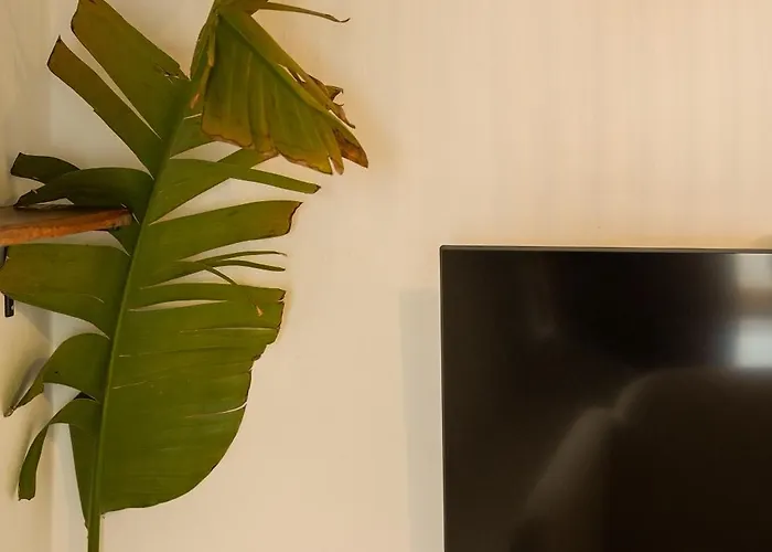 La Paredita Casa Acentejo Dom wakacyjny El Tanque