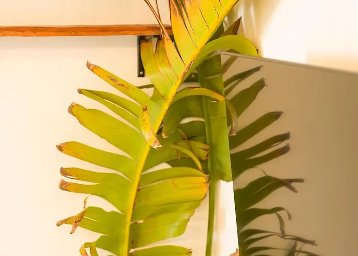 La Paredita Casa Acentejo 펜션