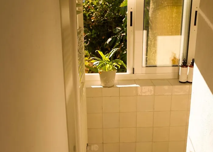 La Paredita Casa Acentejo 펜션