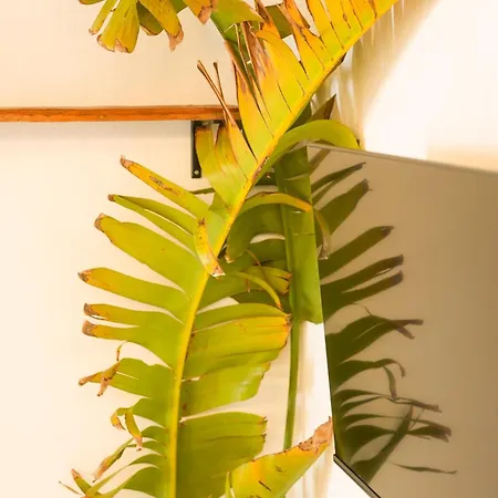 La Paredita Casa Acentejo Сasa de vacaciones