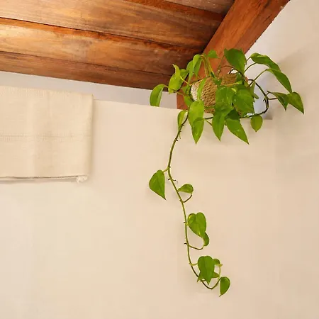 Casa vacanze La Paredita Casa Acentejo