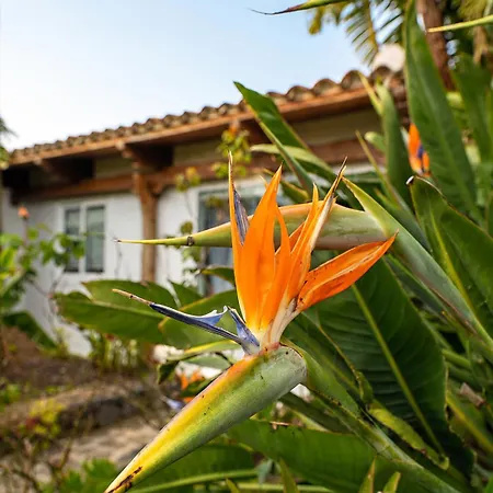 La Paredita Casa Acentejo *